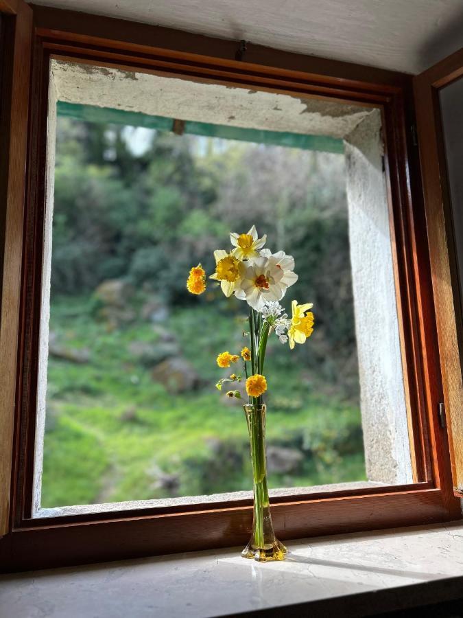 몬테카티니발디세시다 Casina Orione 아파트 외부 사진